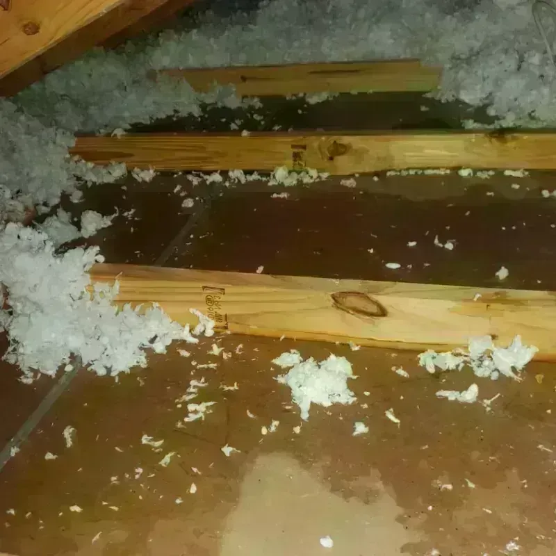 Attic Water Damage in Florence, WI