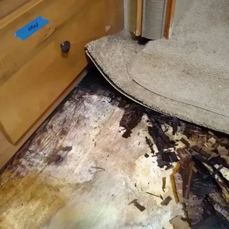 Best Wood Floor Water Damage Service in Florence, WI